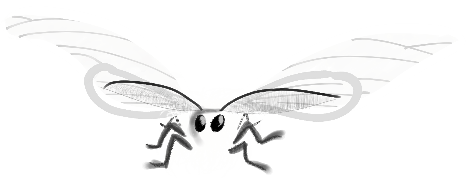 cute silk moth