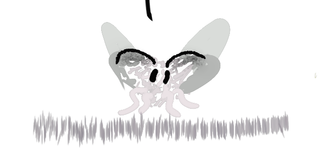 cute silk moth